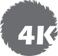 4K Holding